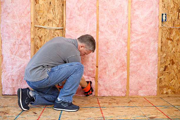 Best Eco-Friendly Insulation in Moss Beach, CA